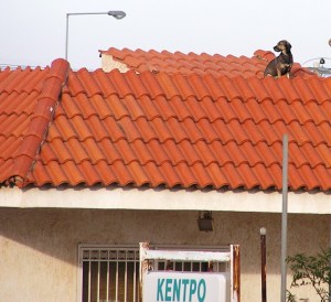 He's watchin' you...