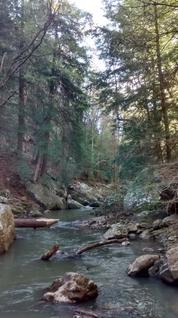 A view up Sitton's Gulch Creek