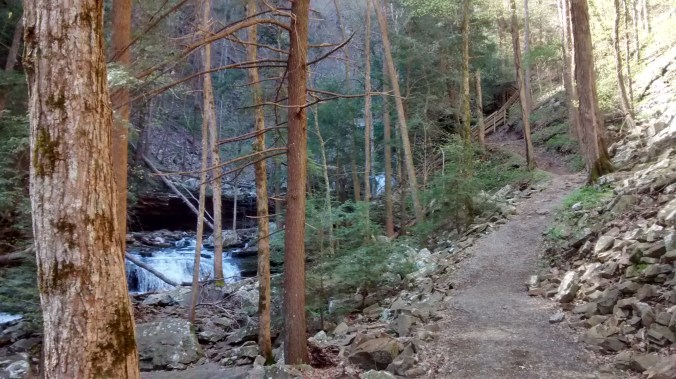 Trail, trees, & terrain