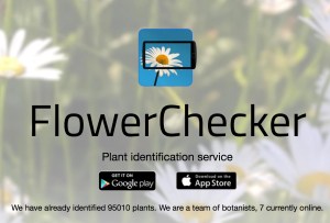 Flower Checker