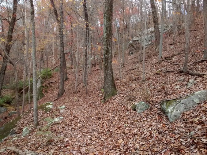 IMG_20151121_142451637