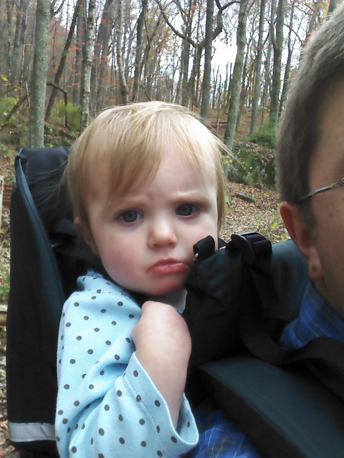 IMG_20151121_143333157