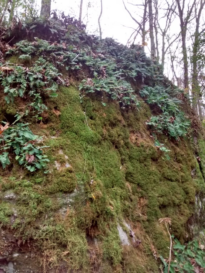 IMG_20151121_145933501_HDR