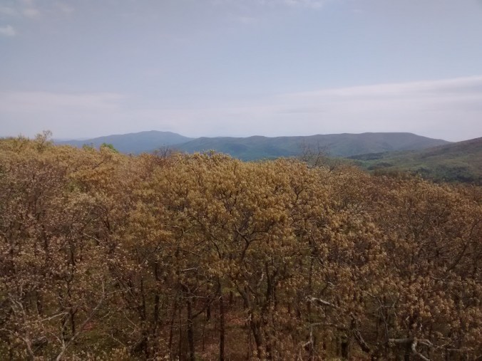 IMG_20160507_121217248