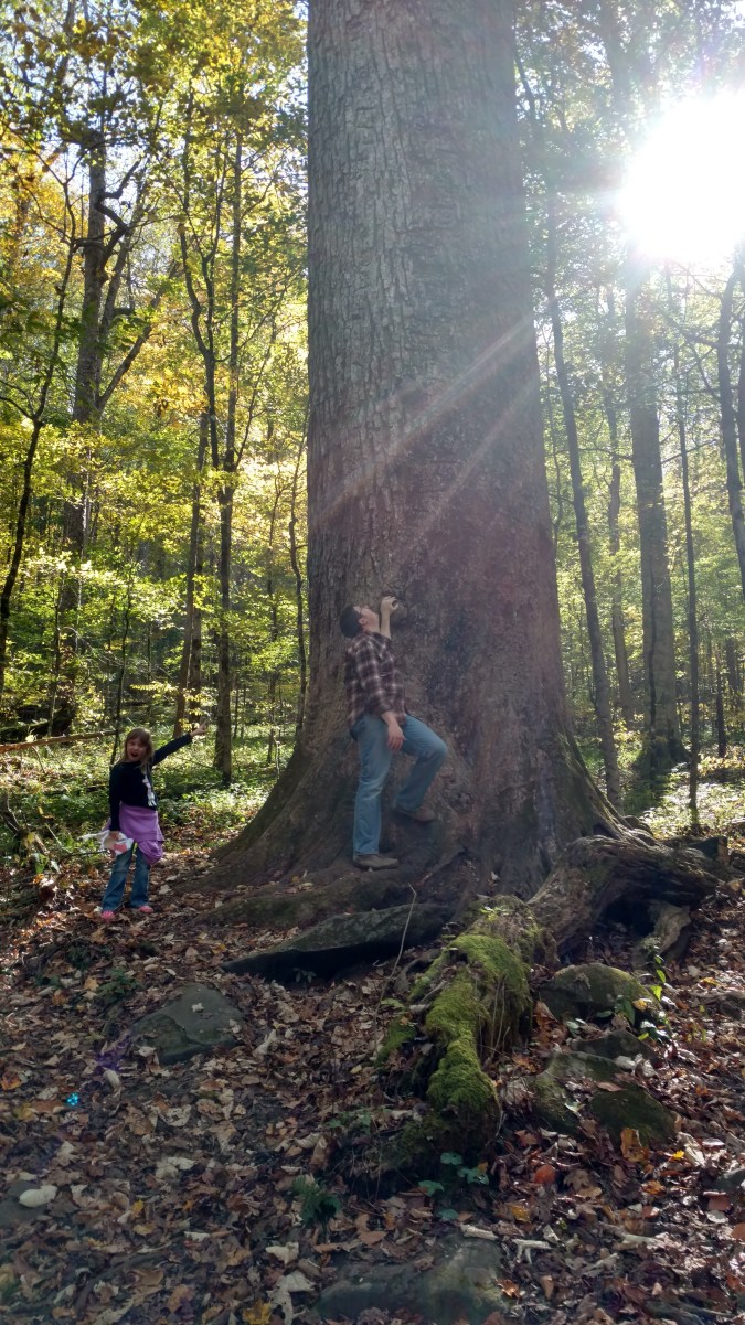 IMG_20171027_145845057_HDR